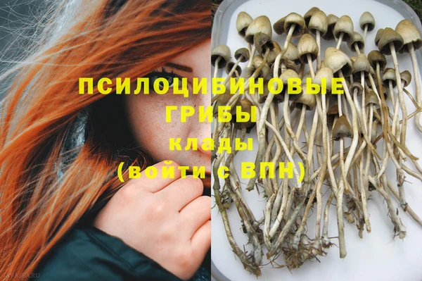 кристаллы Бородино