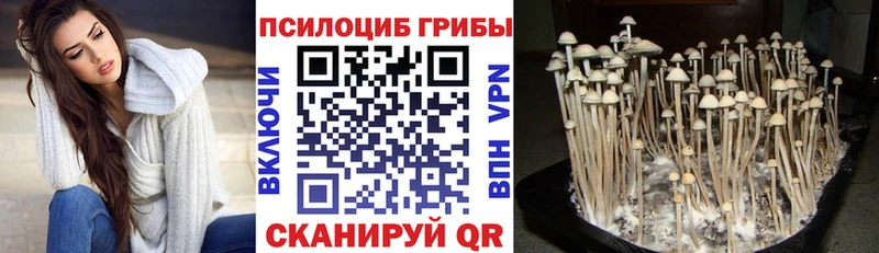 OMG ссылки  Далматово  маркетплейс как зайти  Галлюциногенные грибы мухоморы 